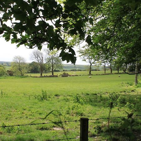 Ty Llwyd Bed & Breakfast Treffynnon Eksteriør bilde