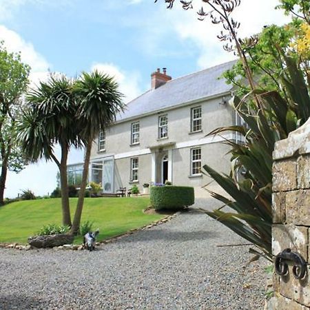 Ty Llwyd Bed & Breakfast Treffynnon Eksteriør bilde