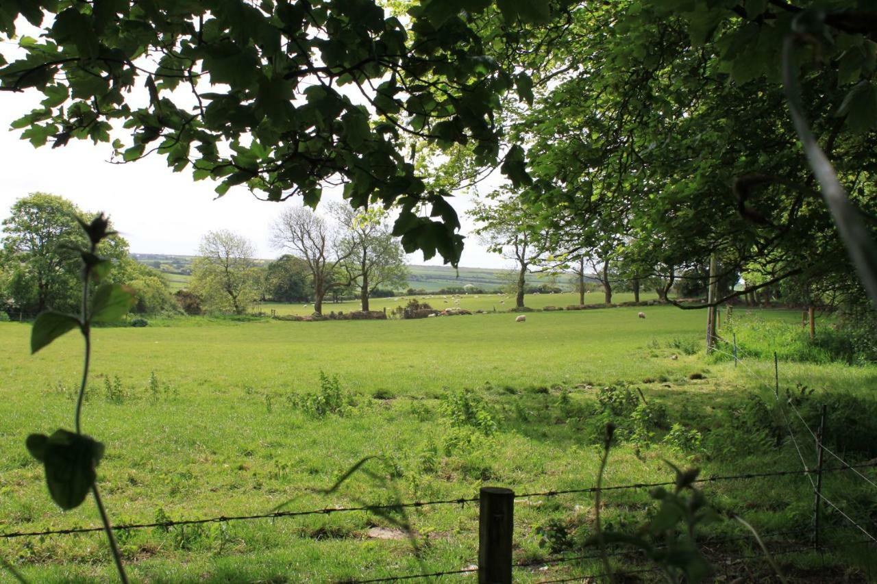Ty Llwyd Bed & Breakfast Treffynnon Eksteriør bilde