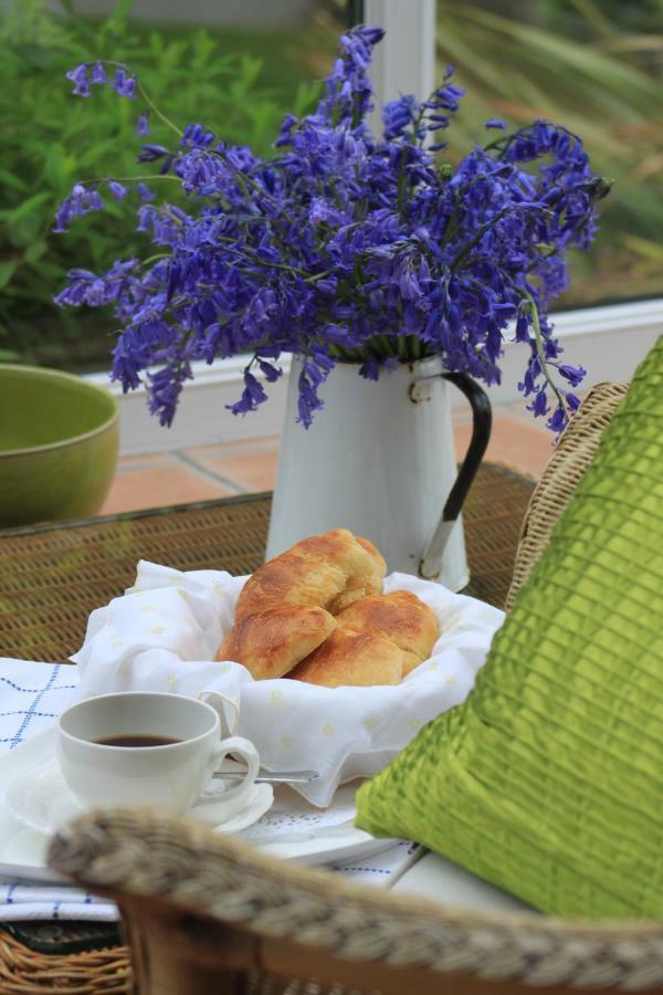 Ty Llwyd Bed & Breakfast Treffynnon Eksteriør bilde