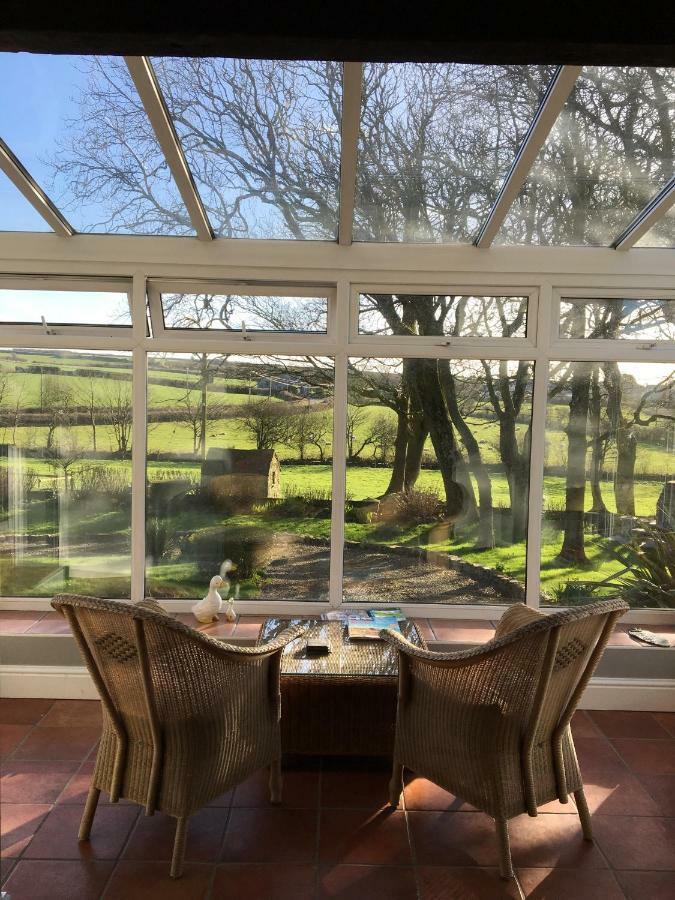 Ty Llwyd Bed & Breakfast Treffynnon Eksteriør bilde